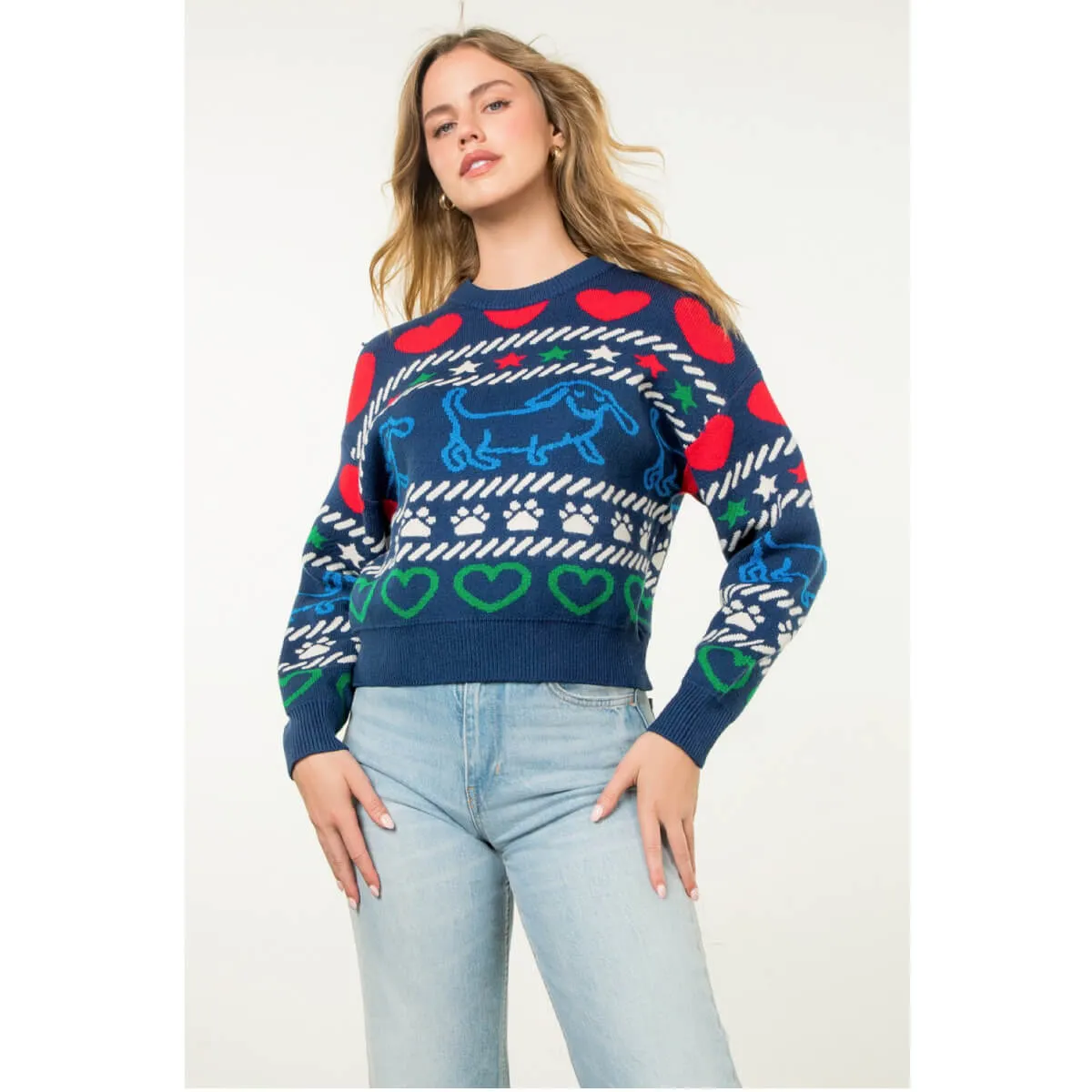 Fun Pattern Knit Crew Neck Sweater